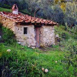 Casa Vacanze La Baghera - La Baghera - Casetta