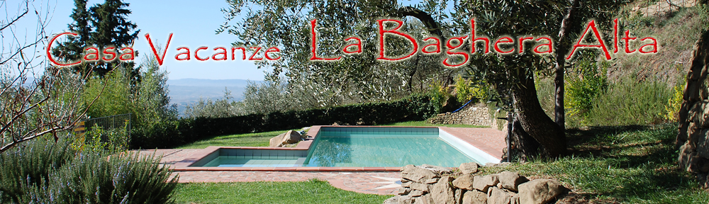Casa Vacanze "La Baghera" e "La Baghera Alta" Nel Cuore della Toscana