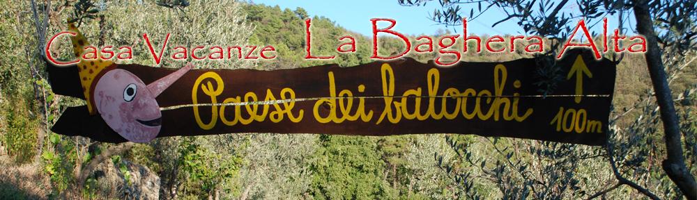 Casa Vacanze "La Baghera" e "La Baghera Alta" Nel Cuore della Toscana